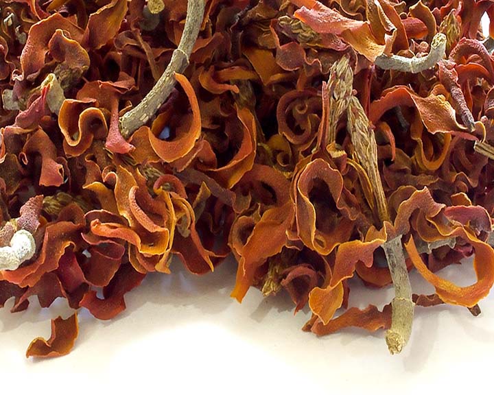 Dried Magnolia Flowers Greate for Craft, Candles, Soap GreenHeart Store